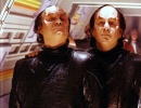 double_phlox.jpg