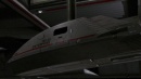fight-or-flight-359.jpg