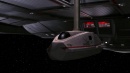 fight-or-flight-364.jpg