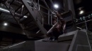 fight-or-flight-368.jpg