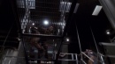 fight-or-flight-371.jpg