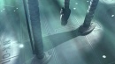 fight-or-flight-433.jpg