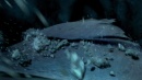 breaking-the-ice-hd-331.jpg