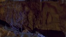 dawn-120.jpg