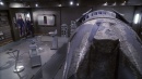 future-tense-350.jpg