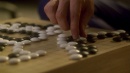 cogenitor-333.jpg