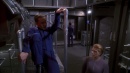 cogenitor-353.jpg
