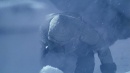 regeneration-032.jpg