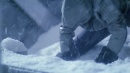 regeneration-034.jpg