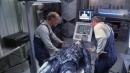 regeneration-045.jpg