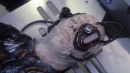 regeneration-046.jpg