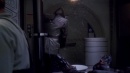 regeneration-077.jpg