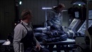 regeneration-079.jpg