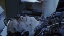 regeneration-086.jpg