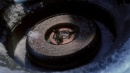regeneration-088.jpg