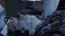 regeneration-091.jpg