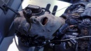 regeneration-094.jpg
