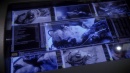 regeneration-139.jpg