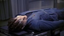 regeneration-198.jpg