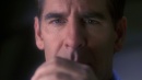 regeneration-201.jpg