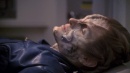 regeneration-214.jpg