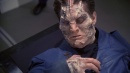 regeneration-217.jpg