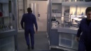 regeneration-236.jpg