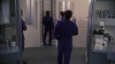 regeneration-237.jpg