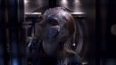 regeneration-256.jpg