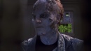 regeneration-257.jpg