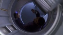 regeneration-275.jpg