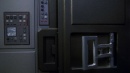 regeneration-279.jpg