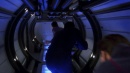 regeneration-284.jpg