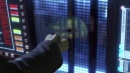regeneration-288.jpg