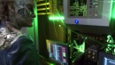 regeneration-291.jpg