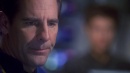regeneration-309.jpg
