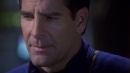 regeneration-317.jpg