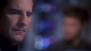 regeneration-334.jpg