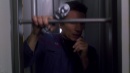regeneration-335.jpg