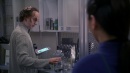 regeneration-344.jpg