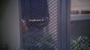 regeneration-355.jpg