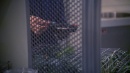 regeneration-356.jpg
