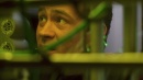 regeneration-361.jpg