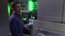regeneration-363.jpg