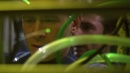 regeneration-365.jpg