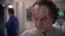 regeneration-384.jpg