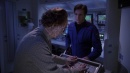 regeneration-445.jpg