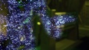 regeneration-459.jpg