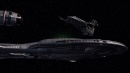 regeneration-466.jpg