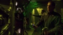 regeneration-471.jpg